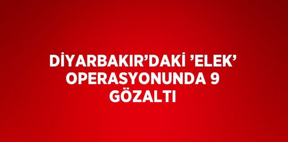 DİYARBAKIR’DAKİ ’ELEK’ OPERASYONUNDA 9 GÖZALTI