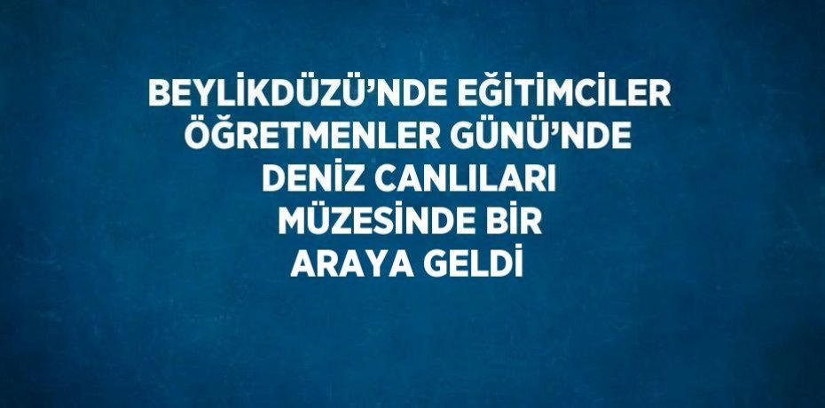 BEYLİKDÜZÜ’NDE EĞİTİMCİLER ÖĞRETMENLER GÜNÜ’NDE DENİZ CANLILARI MÜZESİNDE BİR ARAYA GELDİ