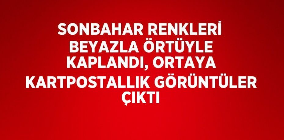 SONBAHAR RENKLERİ BEYAZLA ÖRTÜYLE KAPLANDI, ORTAYA KARTPOSTALLIK GÖRÜNTÜLER ÇIKTI