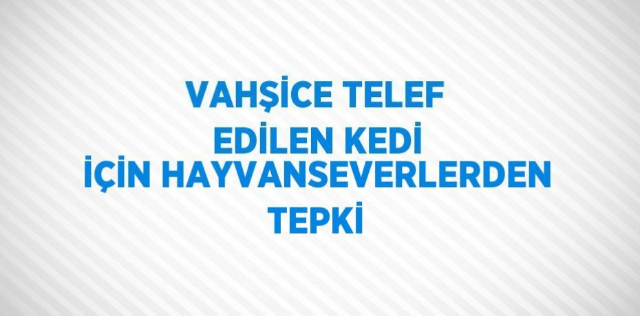 VAHŞİCE TELEF EDİLEN KEDİ İÇİN HAYVANSEVERLERDEN TEPKİ