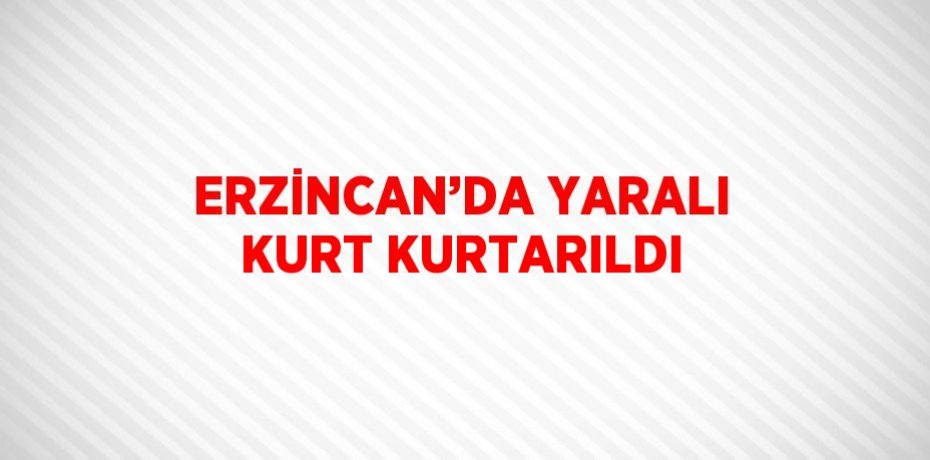 ERZİNCAN’DA YARALI KURT KURTARILDI