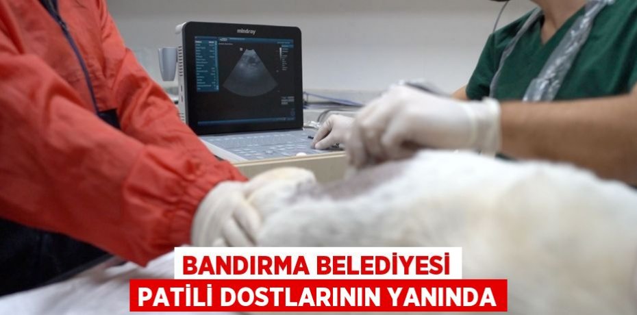 BANDIRMA BELEDİYESİ PATİLİ DOSTLARININ YANINDA