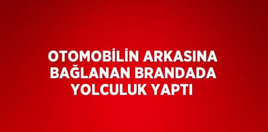 OTOMOBİLİN ARKASINA BAĞLANAN BRANDADA YOLCULUK YAPTI