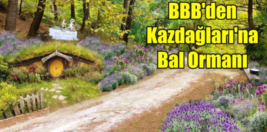 BBB’den Kazdağları’na Bal Ormanı