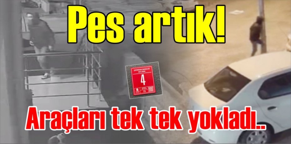 Pes artık!