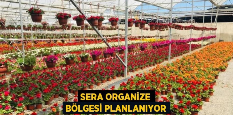 SERA ORGANİZE BÖLGESİ PLANLANIYOR