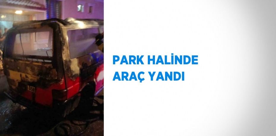 PARK HALİNDE ARAÇ YANDI