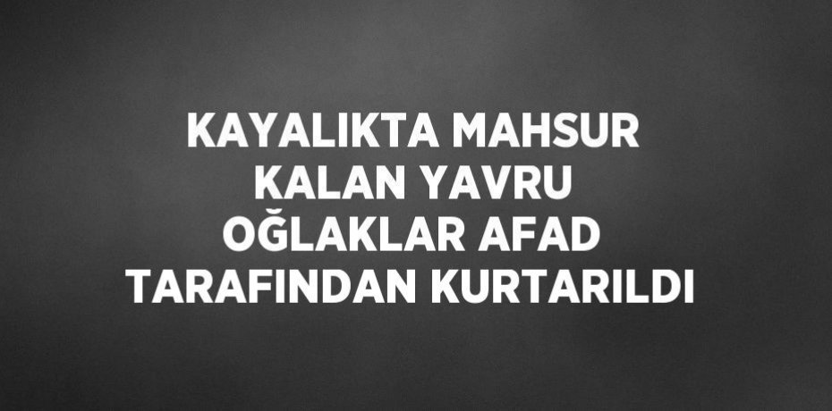 KAYALIKTA MAHSUR KALAN YAVRU OĞLAKLAR AFAD TARAFINDAN KURTARILDI