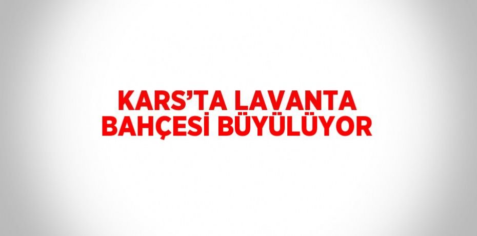 KARS’TA LAVANTA BAHÇESİ BÜYÜLÜYOR