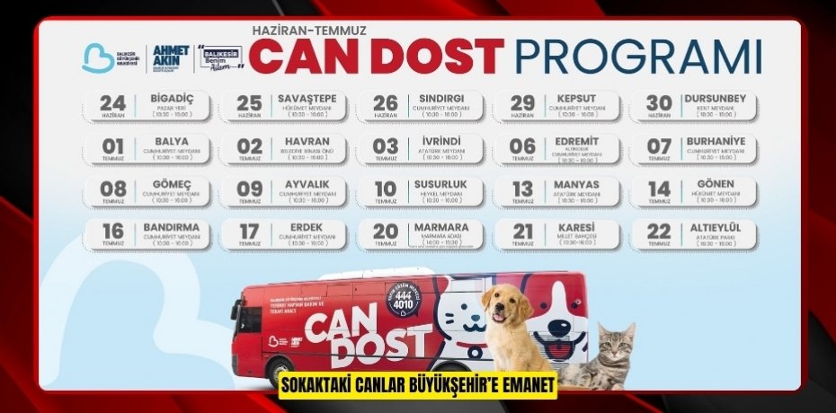 SOKAKTAKİ CANLAR BÜYÜKŞEHİR’E EMANET