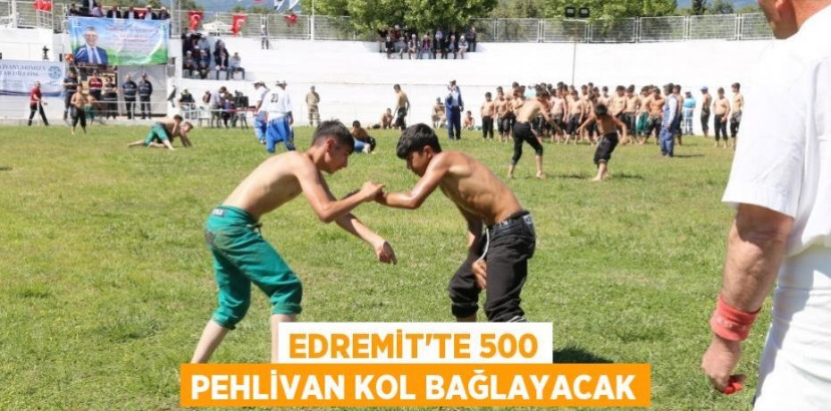 Edremit’te 500 pehlivan kol bağlayacak