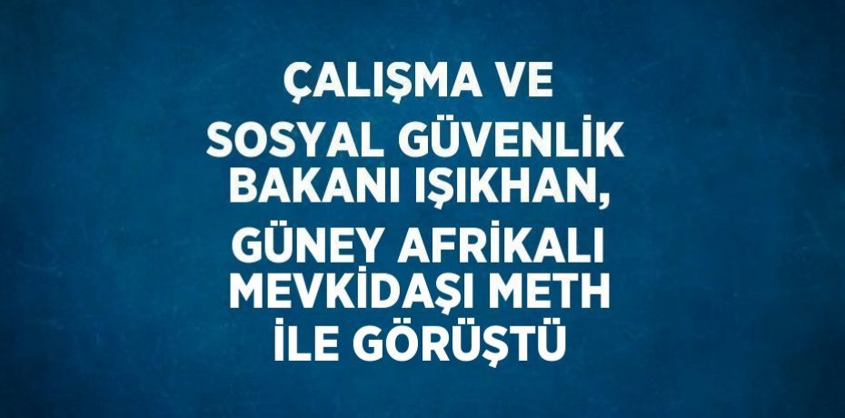 ÇALIŞMA VE SOSYAL GÜVENLİK BAKANI IŞIKHAN, GÜNEY AFRİKALI MEVKİDAŞI METH İLE GÖRÜŞTÜ