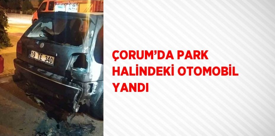 ÇORUM’DA PARK HALİNDEKİ OTOMOBİL YANDI