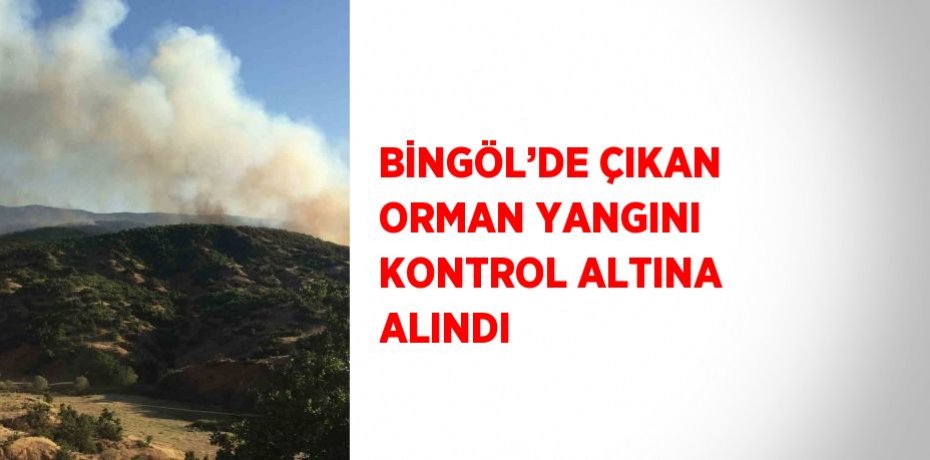 BİNGÖL’DE ÇIKAN ORMAN YANGINI KONTROL ALTINA ALINDI