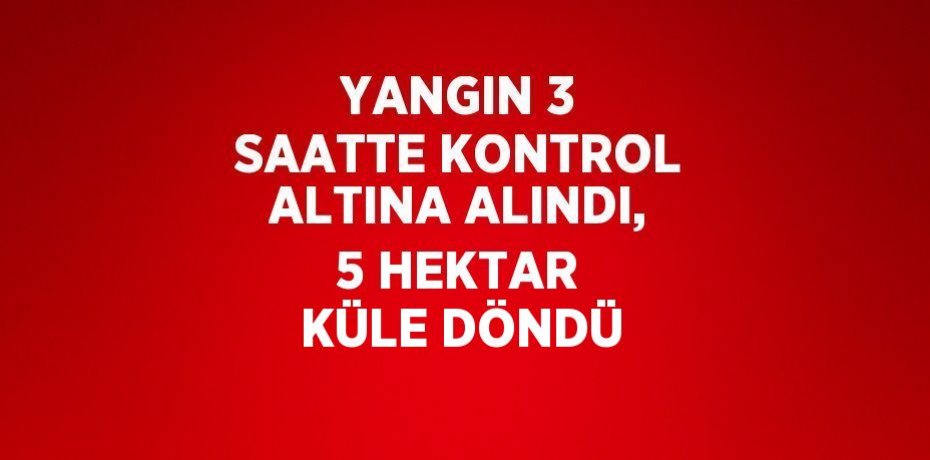 YANGIN 3 SAATTE KONTROL ALTINA ALINDI, 5 HEKTAR KÜLE DÖNDÜ
