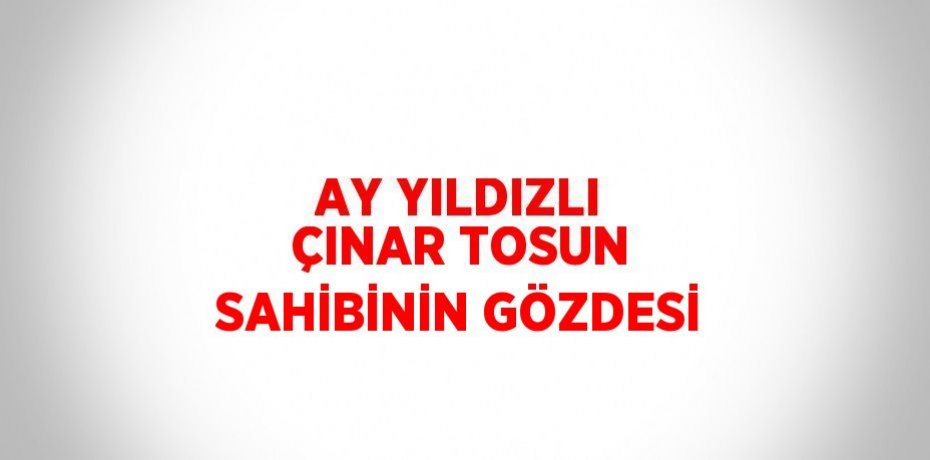 AY YILDIZLI ÇINAR TOSUN SAHİBİNİN GÖZDESİ