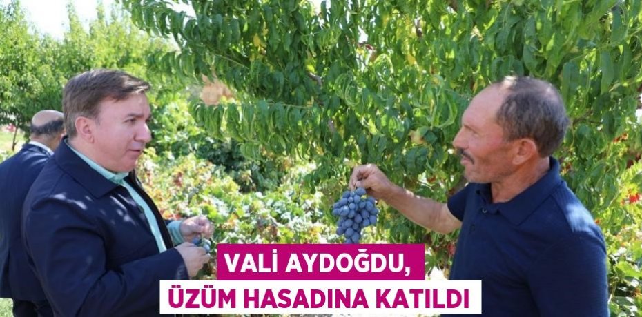 VALİ AYDOĞDU, ÜZÜM HASADINA KATILDI