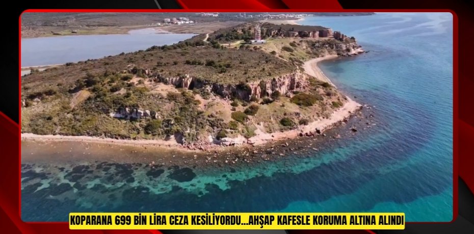  Koparana 699 bin lira ceza kesiliyordu...Ahşap kafesle koruma altına alındı