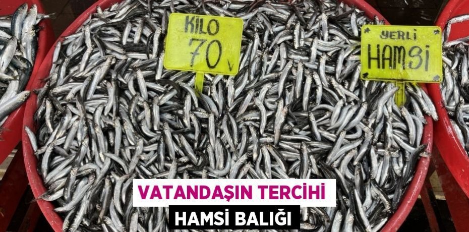 VATANDAŞIN TERCİHİ HAMSİ BALIĞI