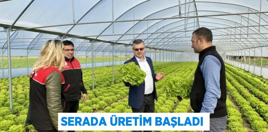Serada Üretim Başladı