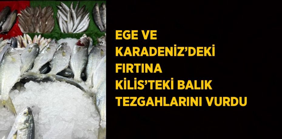 EGE VE KARADENİZ’DEKİ FIRTINA KİLİS’TEKİ BALIK TEZGAHLARINI VURDU