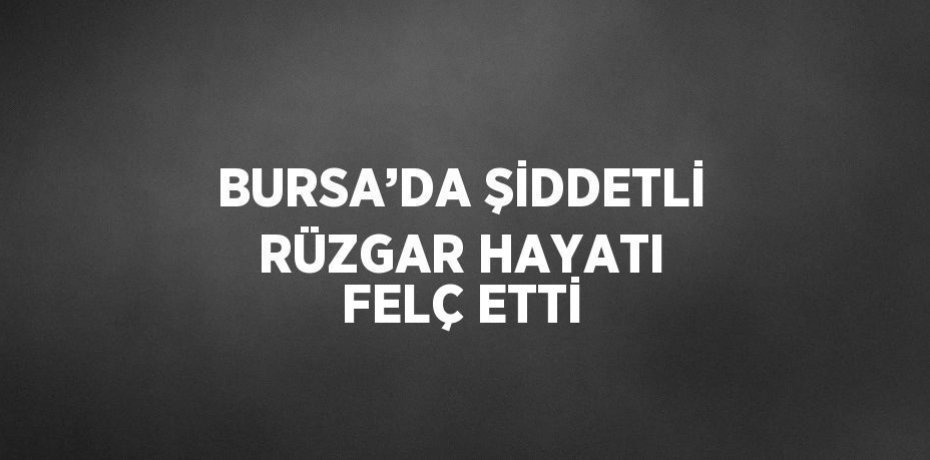 BURSA’DA ŞİDDETLİ RÜZGAR HAYATI FELÇ ETTİ