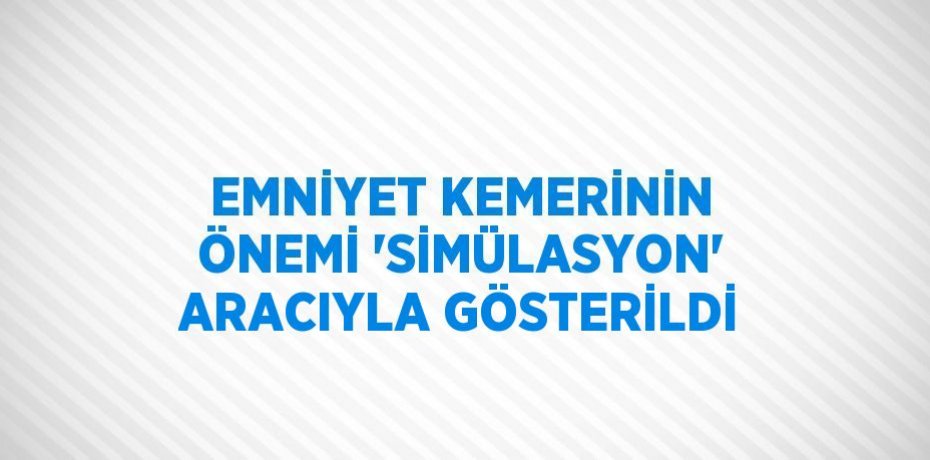 EMNİYET KEMERİNİN ÖNEMİ 'SİMÜLASYON' ARACIYLA GÖSTERİLDİ