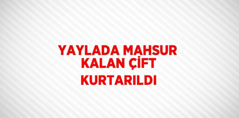 YAYLADA MAHSUR KALAN ÇİFT KURTARILDI