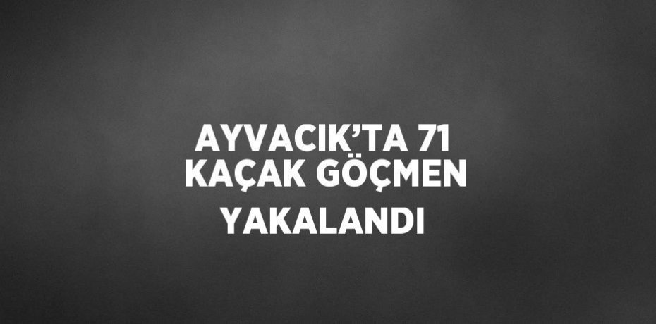 AYVACIK’TA 71 KAÇAK GÖÇMEN YAKALANDI