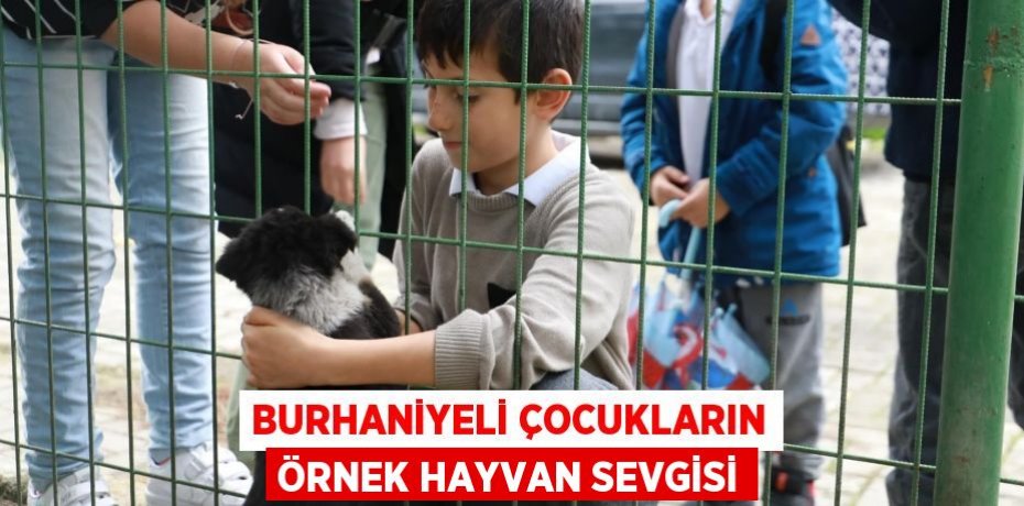 Burhaniyeli Çocukların örnek hayvan sevgisi