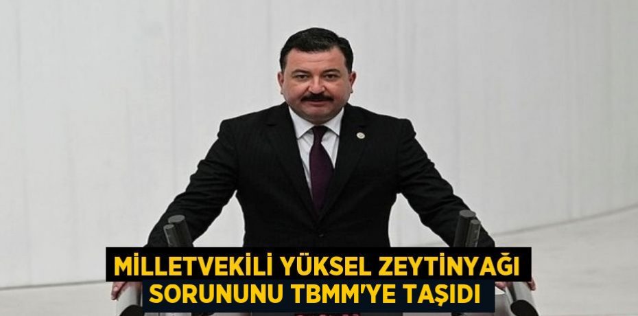 MİLLETVEKİLİ YÜKSEL ZEYTİNYAĞI SORUNUNU TBMM’YE TAŞIDI