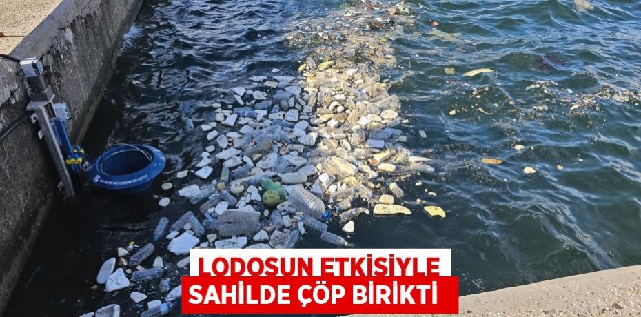 Lodosun etkisiyle sahilde çöp birikti 