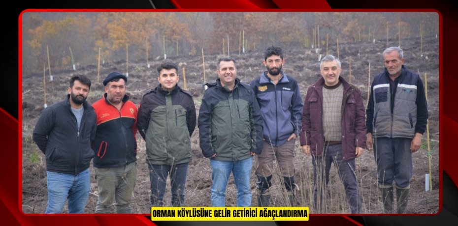 Orman köylüsüne gelir getirici ağaçlandırma