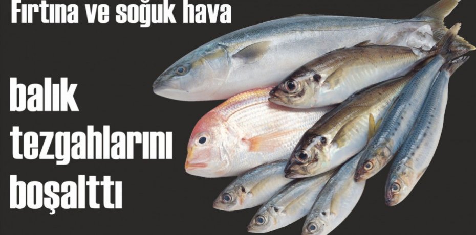 Fırtına ve soğuk hava balık tezgahlarını boşalttı