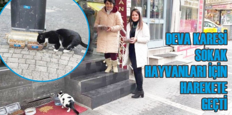 DEVA KARESİ SOKAK HAYVANLARI İÇİN HAREKETE GEÇTİ