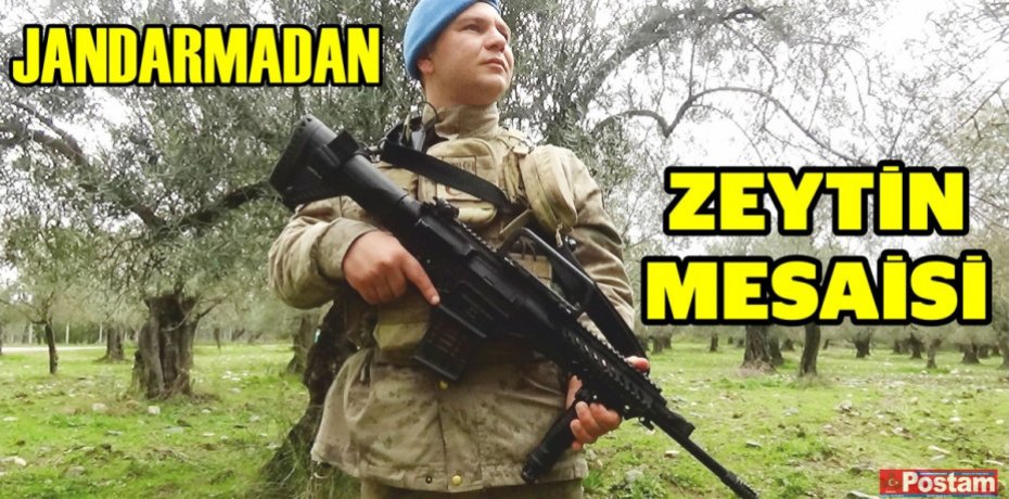 JANDARMADAN ZEYTİN MESAİSİ