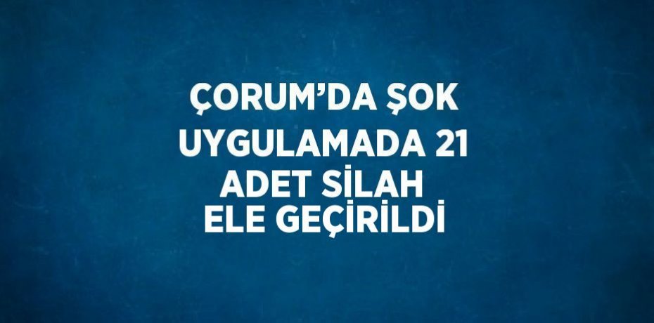 ÇORUM’DA ŞOK UYGULAMADA 21 ADET SİLAH ELE GEÇİRİLDİ