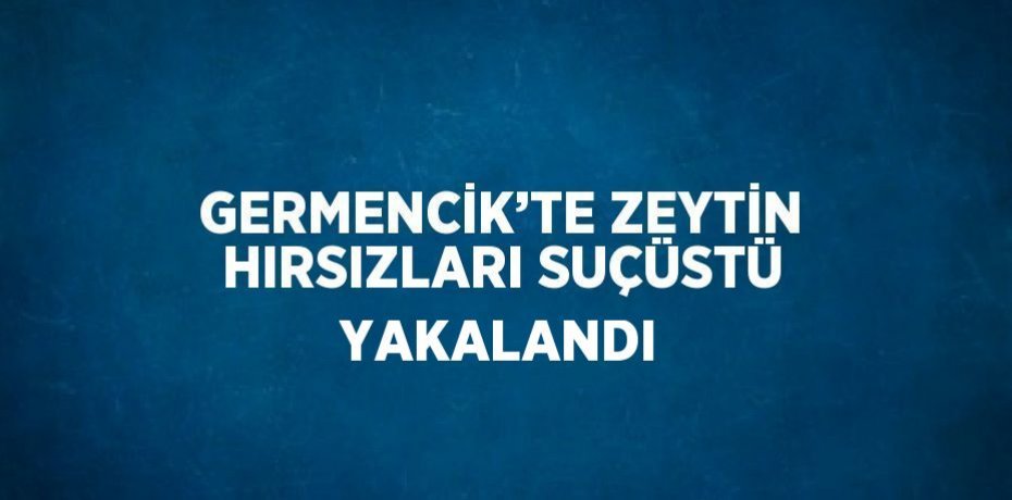 GERMENCİK’TE ZEYTİN HIRSIZLARI SUÇÜSTÜ YAKALANDI