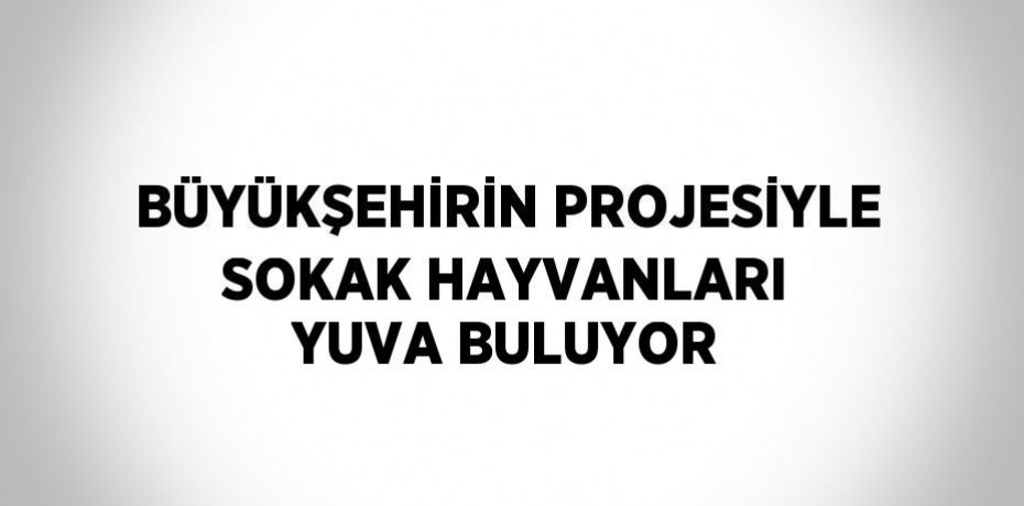BÜYÜKŞEHİRİN PROJESİYLE SOKAK HAYVANLARI YUVA BULUYOR