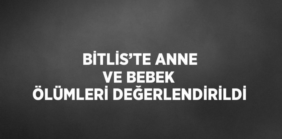 BİTLİS’TE ANNE VE BEBEK ÖLÜMLERİ DEĞERLENDİRİLDİ