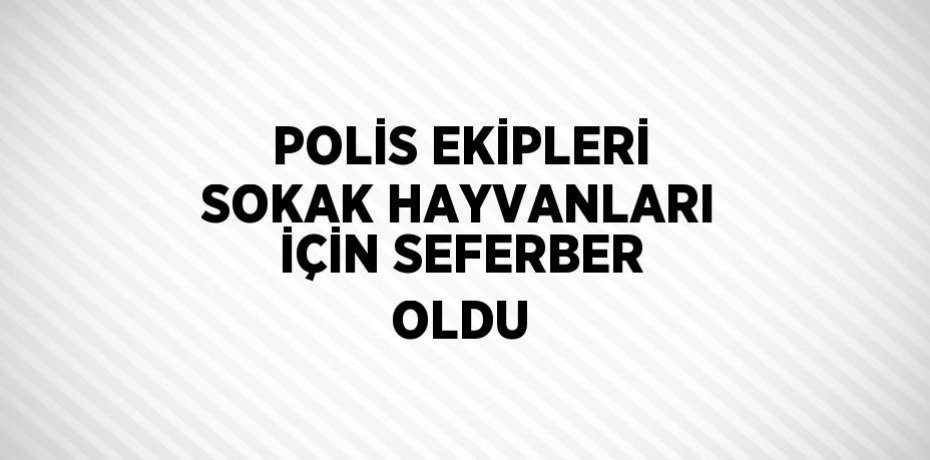 POLİS EKİPLERİ SOKAK HAYVANLARI İÇİN SEFERBER OLDU