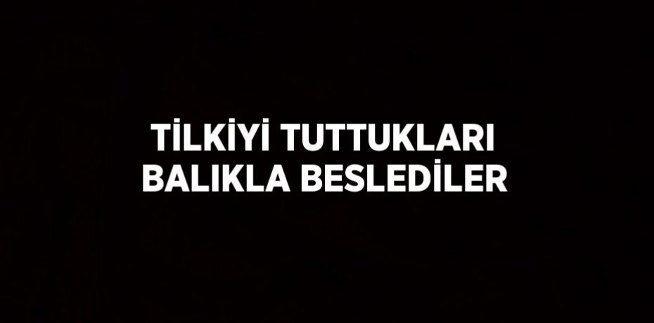TİLKİYİ TUTTUKLARI BALIKLA BESLEDİLER