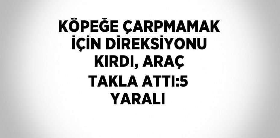 KÖPEĞE ÇARPMAMAK İÇİN DİREKSİYONU KIRDI, ARAÇ TAKLA ATTI:5 YARALI