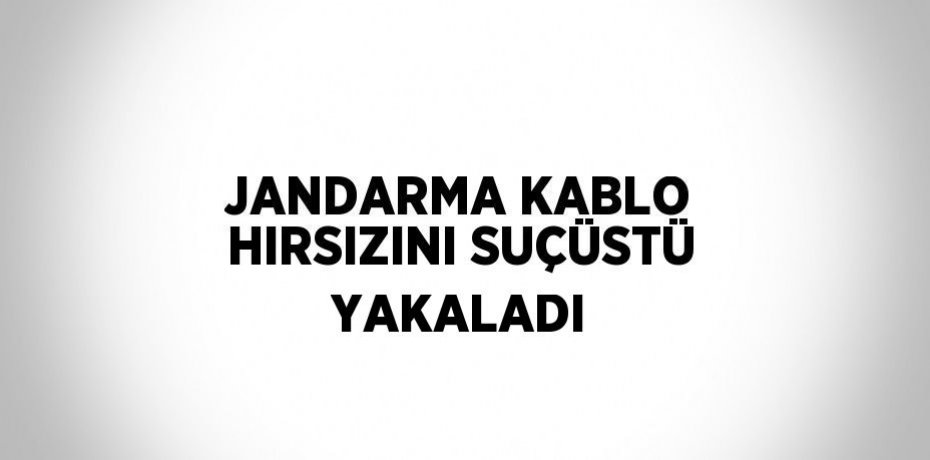 JANDARMA KABLO HIRSIZINI SUÇÜSTÜ YAKALADI
