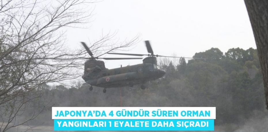 JAPONYA’DA 4 GÜNDÜR SÜREN ORMAN YANGINLARI 1 EYALETE DAHA SIÇRADI