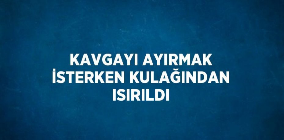 KAVGAYI AYIRMAK İSTERKEN KULAĞINDAN ISIRILDI