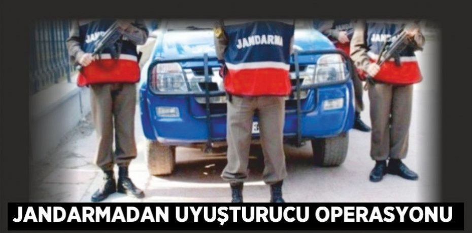 Jandarmadan uyuşturucu operasyonu