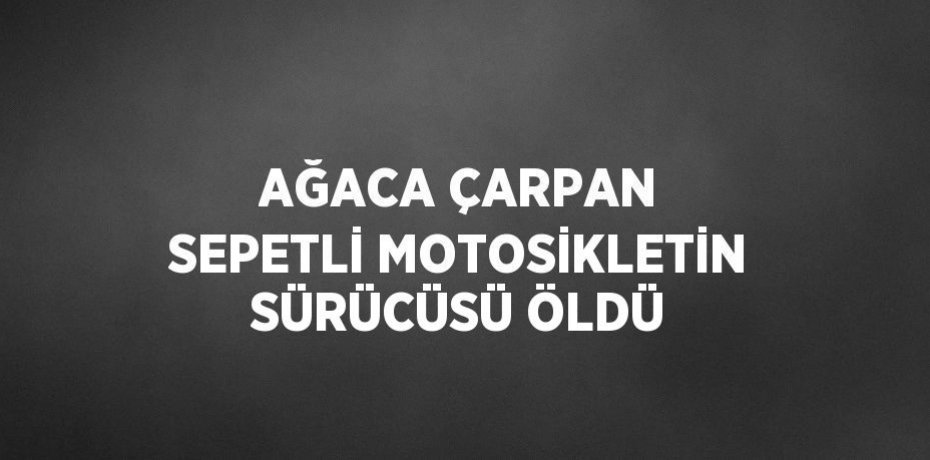 AĞACA ÇARPAN SEPETLİ MOTOSİKLETİN SÜRÜCÜSÜ ÖLDÜ