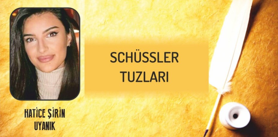 SCHÜSSLER TUZLARI