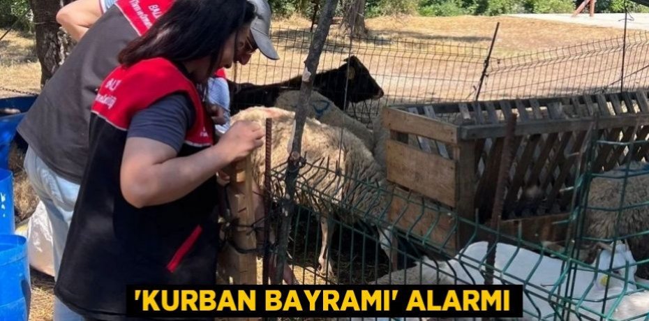 ‘Kurban Bayramı’ alarmı
